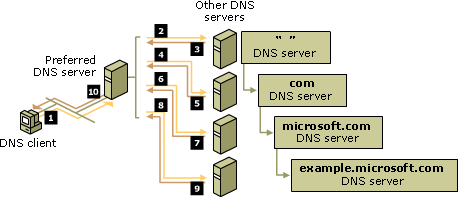 DNS Auflösung: Von DNS zu IP