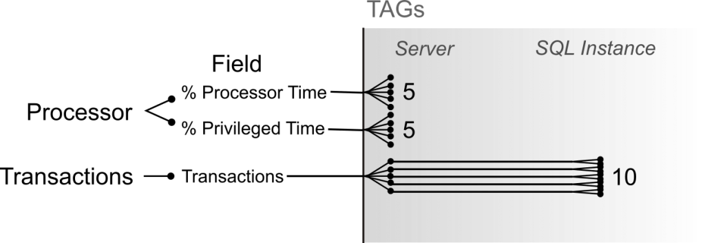 cardinality