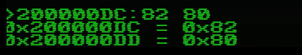 Checking the bytes in memory before running